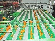 Mersin Fabrika ( Tarsus )
